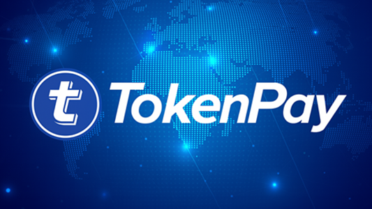 TokenPay支付界面美化（清爽简约风格定制）